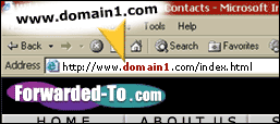 Domain Forwarding & Masking Example