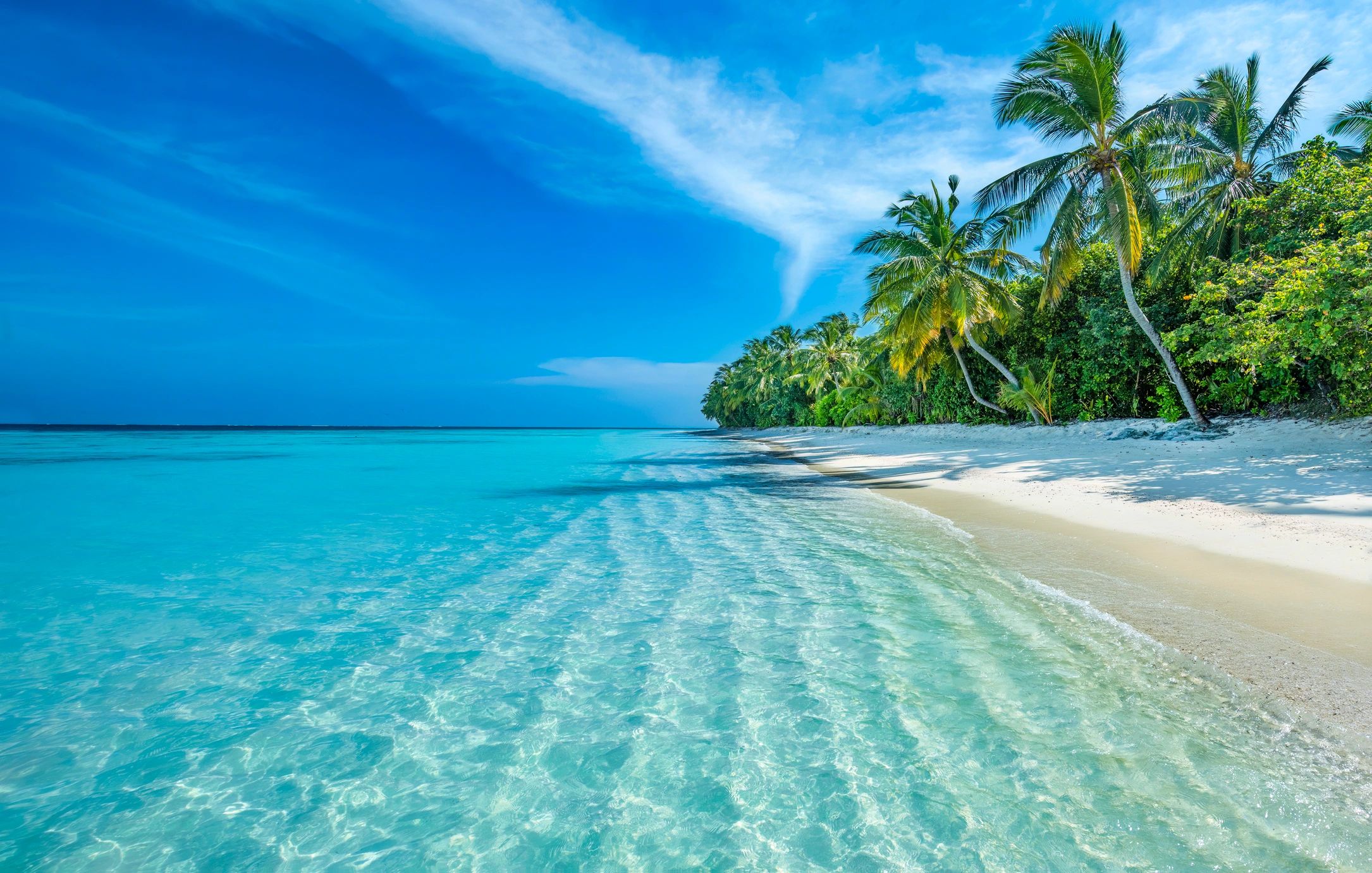 Just Sun Rays Vacation Rental host portfolio