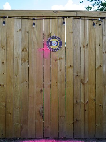 Just a baby girl, born into a die-hard Steelers family — truly frame-worthy.