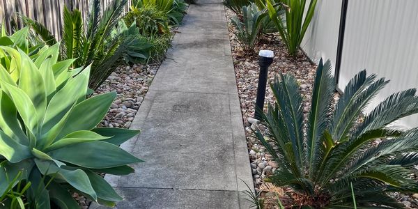Clean and neat garden path. 