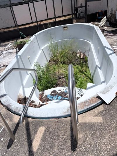 Abandoned pool with plants growing inside it.