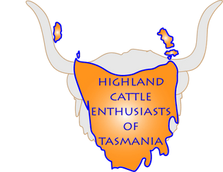 Highland Cattle Tasmania