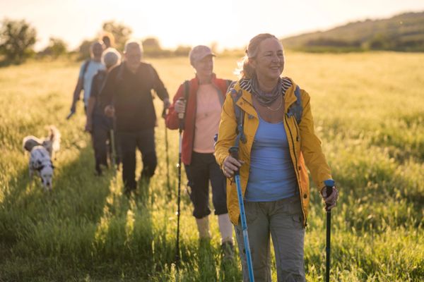 Group of over 60s on a hike through a field with a dog