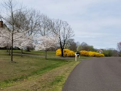 View along Clair Manor Drive