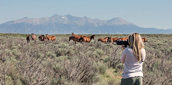 photographer workshop and tours of New Mexico and Southern Colorado. Specializing in all skill level