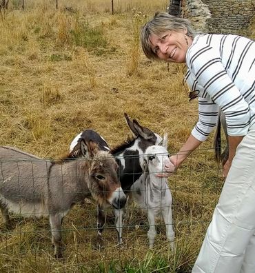 Problematic Breast Implant/Reduction Scars,Coccydynia (tail bone pain),
Endometriosis,Vulvodynia