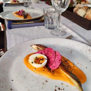 vegan and vegetarian meals. cousine. organic and local products. food. vegan chef