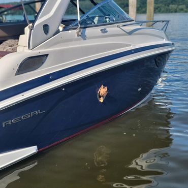 Close-up of a Regal boat with a dog emblem on its hull, docked on calm water.
