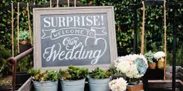 A rustic wedding welcome sign with potted plants and flowers.