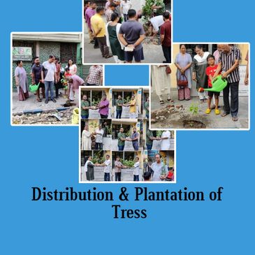 Distribution and Plantation of trees in our area.
