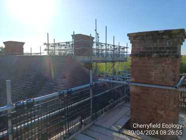 Scaffolding around a brick chimney on a rooftop during early morning.