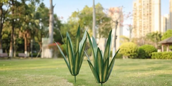 Two green plants with yellow accents in a sunlit park.