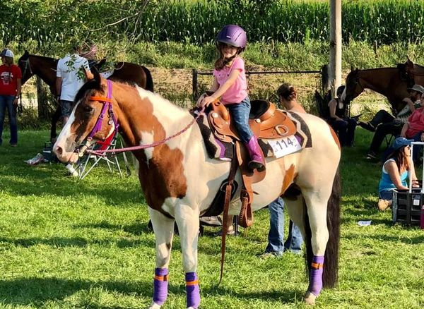 novice rider, horse show, paint horse, riding lesson.