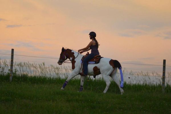 trail riding, western riding, cowgirl,
