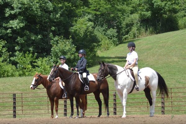 hunter under saddle, 4-H, County fair, English riding