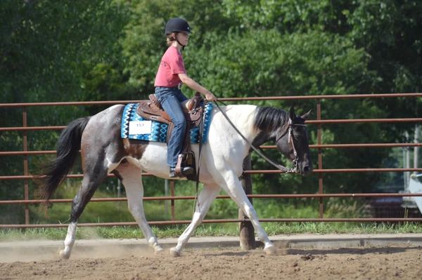 Cowgirl, 4-H, County Fair, horse show, riding lesson.