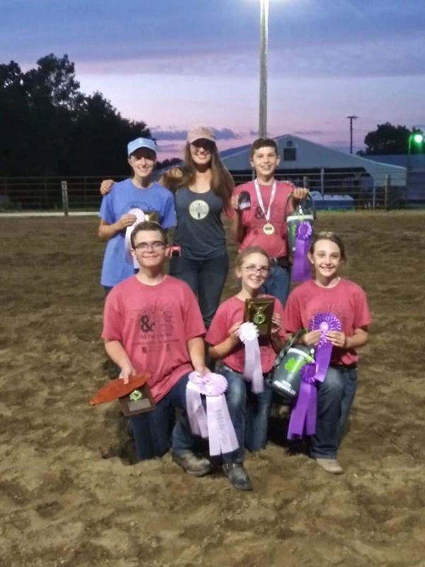 4-H, county fair, lessons, horse boarders.