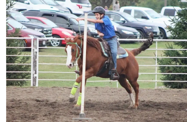 horse show, poles competition, cowboy, western riding
