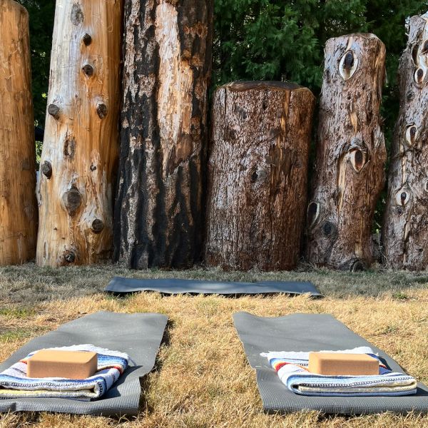 Outdoor yoga setup with mats and blocks.