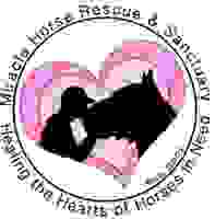 Miracle Horse Rescue and Sanctuary