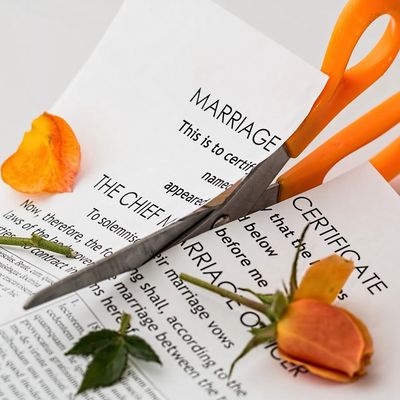 PPLI and PPVA combined with the proper trust can provide protection from divorce without the prenup
