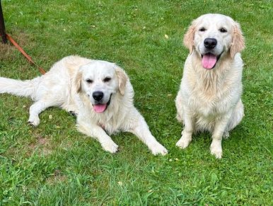 Dakota Topher-James & Christopher's NovaStar