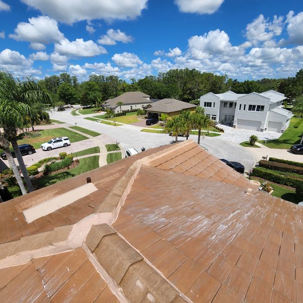 Tile roof cleaning