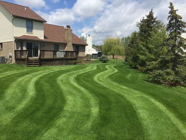 Prompt, professional weekly lawn care
