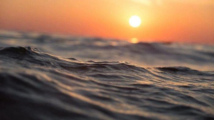 Wave
