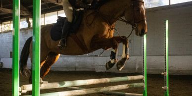 Horse and rider jumping over an obstacle in an indoor arena.