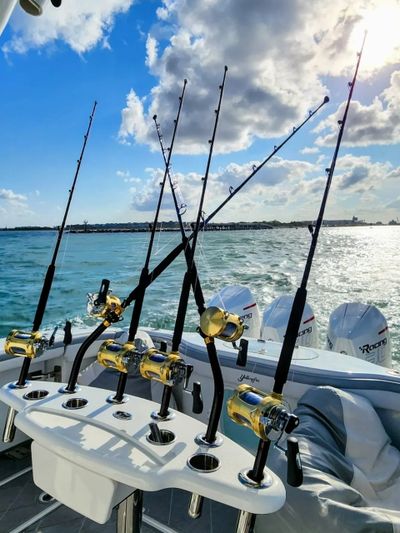 Fishing rods on a boat against a scenic ocean backdrop.