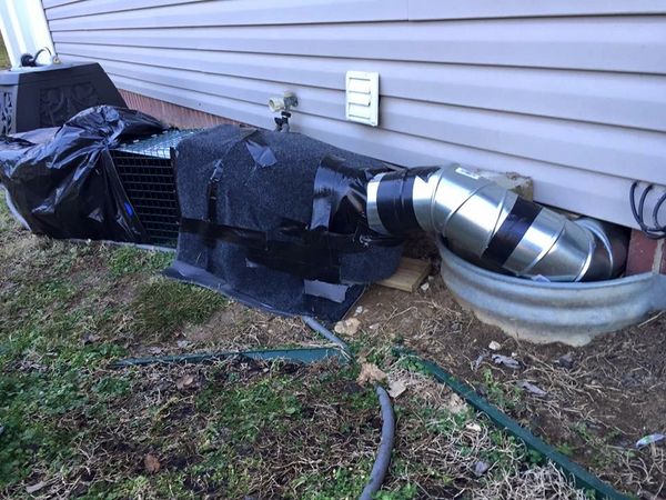 Jacksonville DIY trapping by homeowner