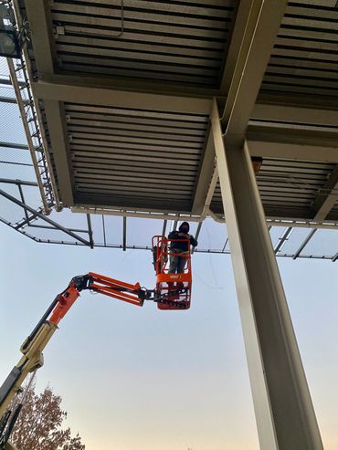 Bird Netting Installation
