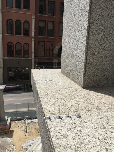 Jacksonville Bird Deterrent Installation