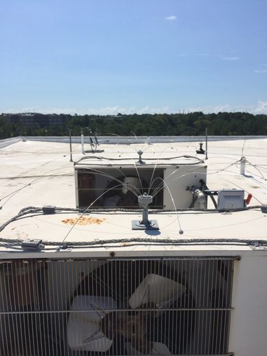 Jacksonville Wire Systems - Bird Control
