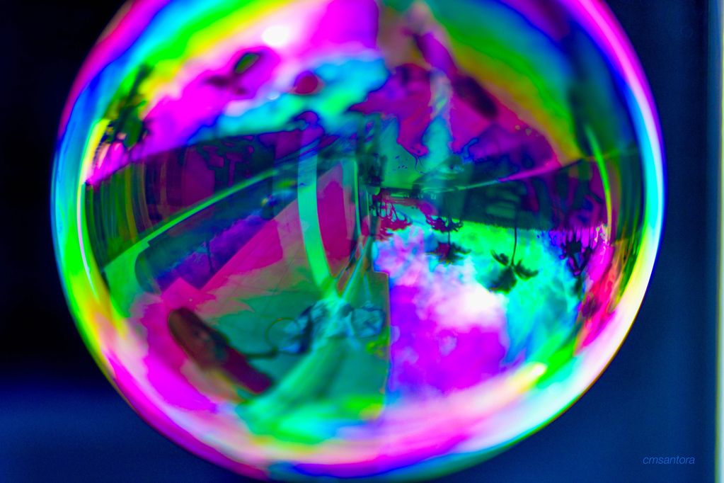 Carolina's Bubble