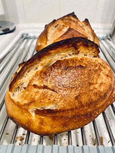 Sourdough Bread