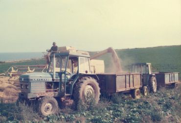Two tractors and a combine harvester working on a farm field.