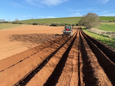 A tractor plowing a field under a clear blue sky.