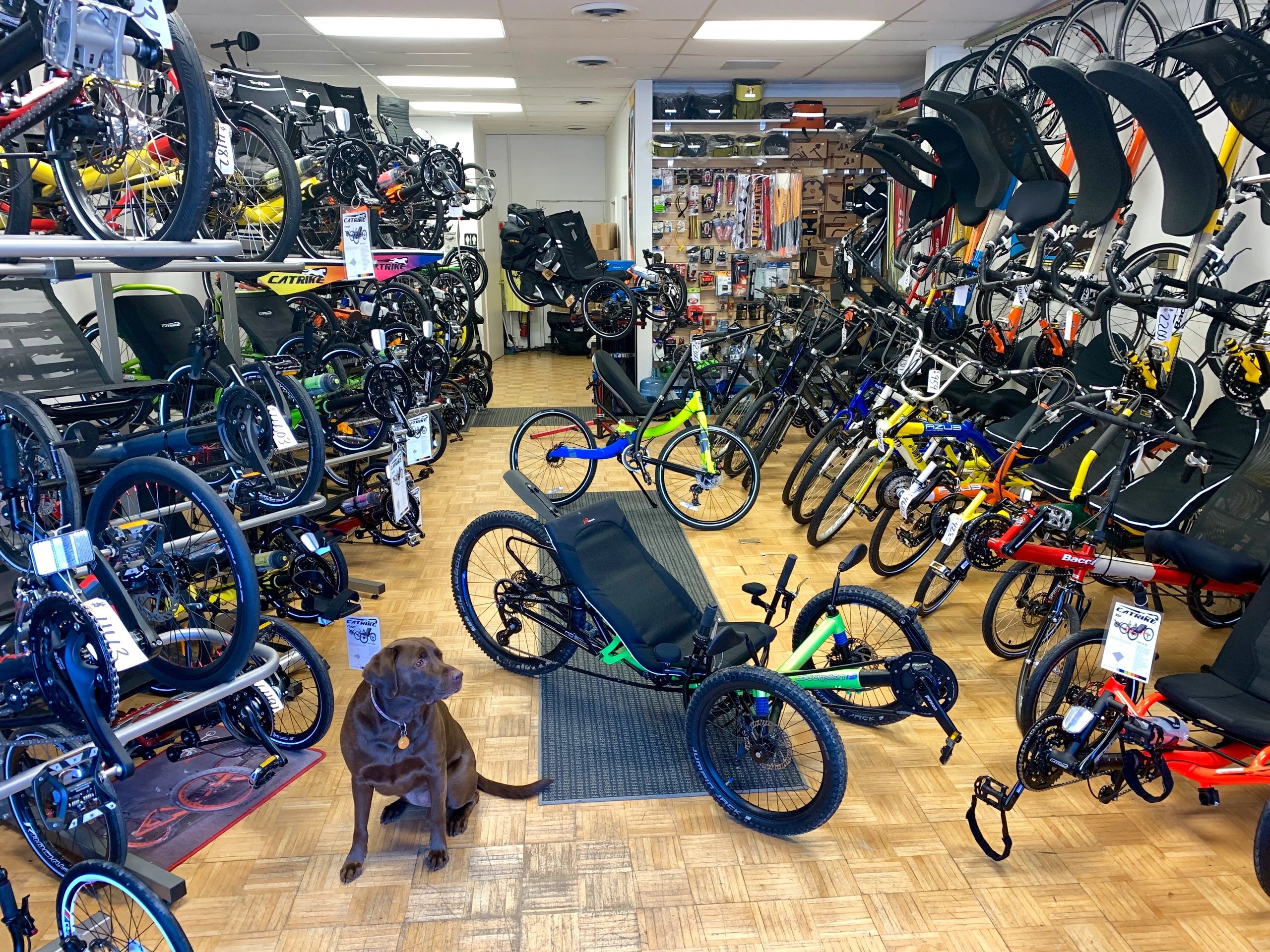 Jersey Bents Recumbent Bikes, Recumbent Trikes