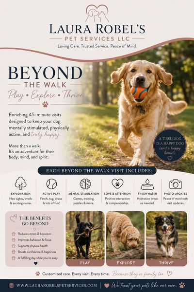 Dog care service offering 45-minute active, stimulating visits.