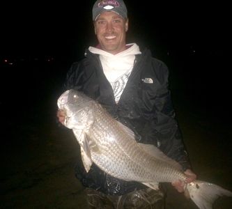 Large red drum caught on a Ninja Tackle Cannonball Drum rig.