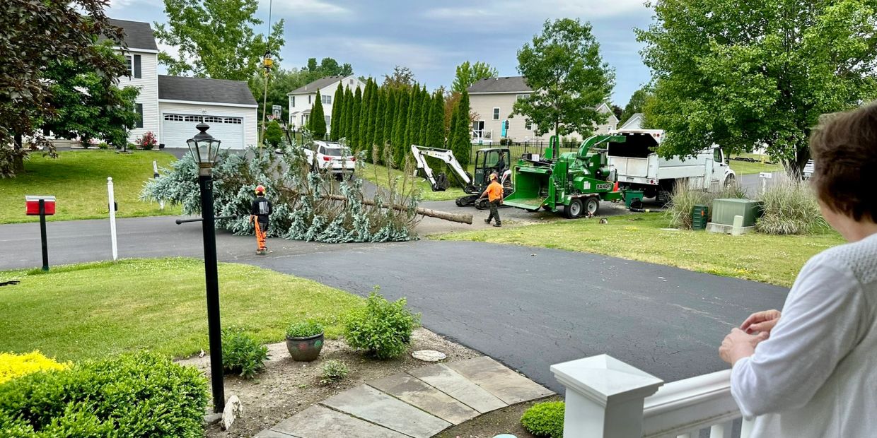 Workers removing a large fallen tree in a suburban neighborhood.