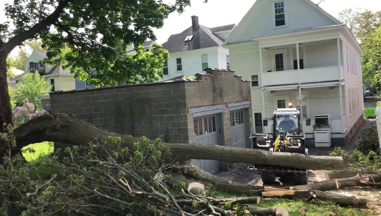 A tractor removing a large fallen tree in a residential area.