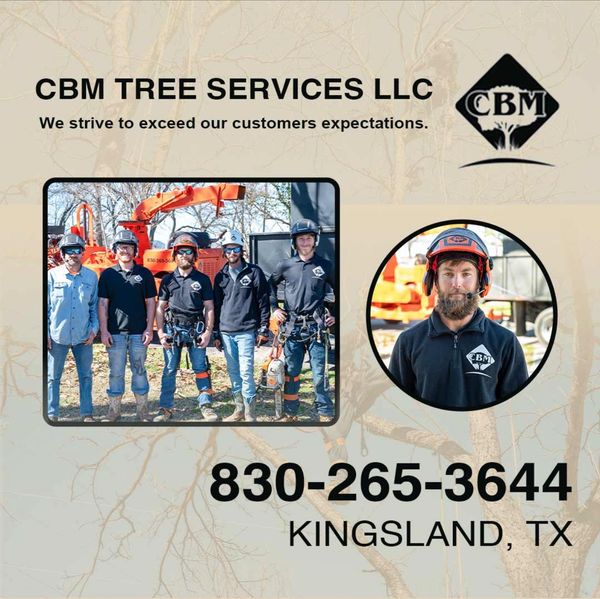 CBM Tree Service team members