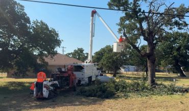 Workers trimming trees using bucket truck and wood chipper in a sunny yard.