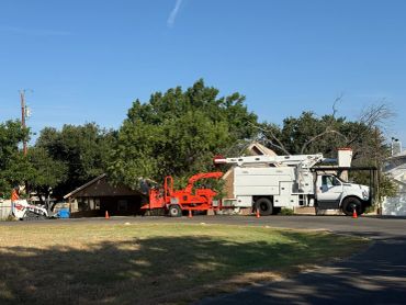 Tree services workers with equipment on a sunny day.
