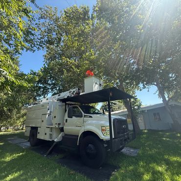 Bucket truck preparing to trim dead branches out of trees