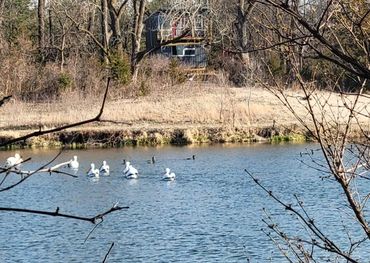 River at the sonlit retreat center