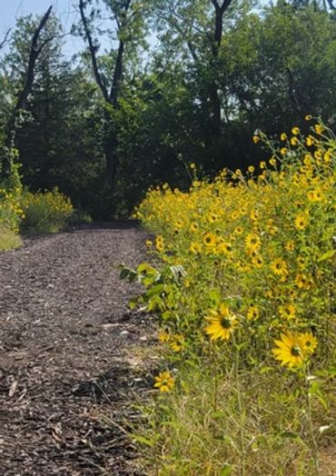 Walking oath at sonlit retreat center